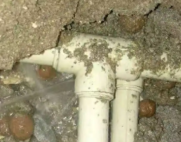 掇刀测漏水多少钱