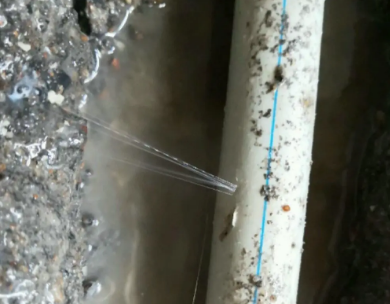 掇刀测漏水哪家好