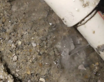 掇刀测漏水电话号码