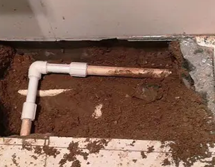 掇刀测漏水哪家好