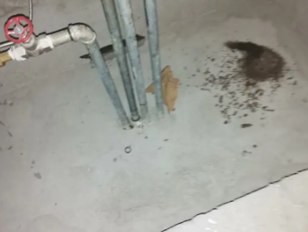 掇刀卫生间测漏水价格明细