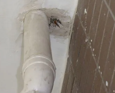 掇刀漏水检测哪家好